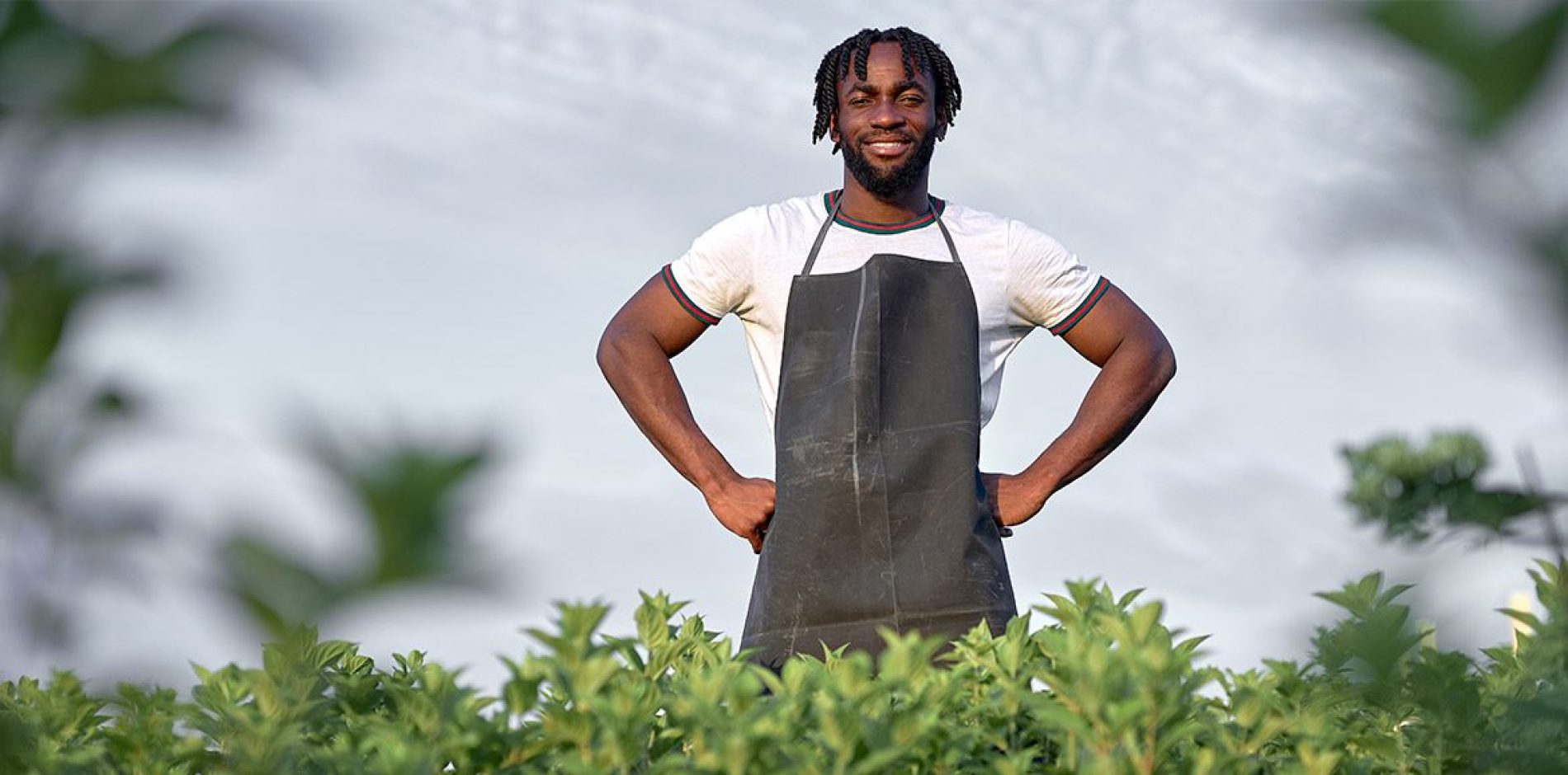 Indennità di Disoccupazione e ANF per Lavoratori dipendenti Agricoli 2024