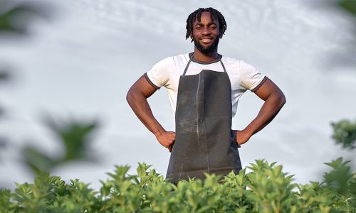 Indennità di Disoccupazione e ANF per Lavoratori dipendenti Agricoli 2024