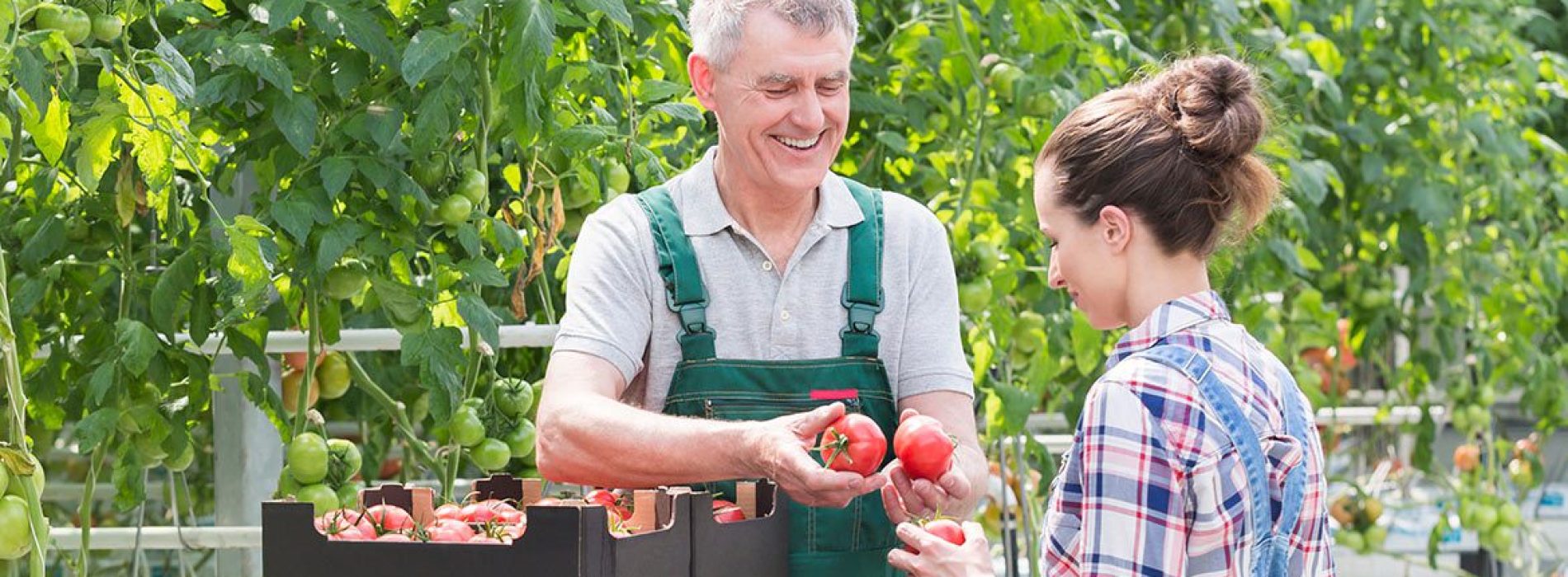 Vantaggi INPS: Trascinamento di giornate per lavoratori agricoli