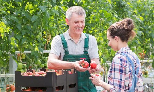 Vantaggi INPS: Trascinamento di giornate per lavoratori agricoli